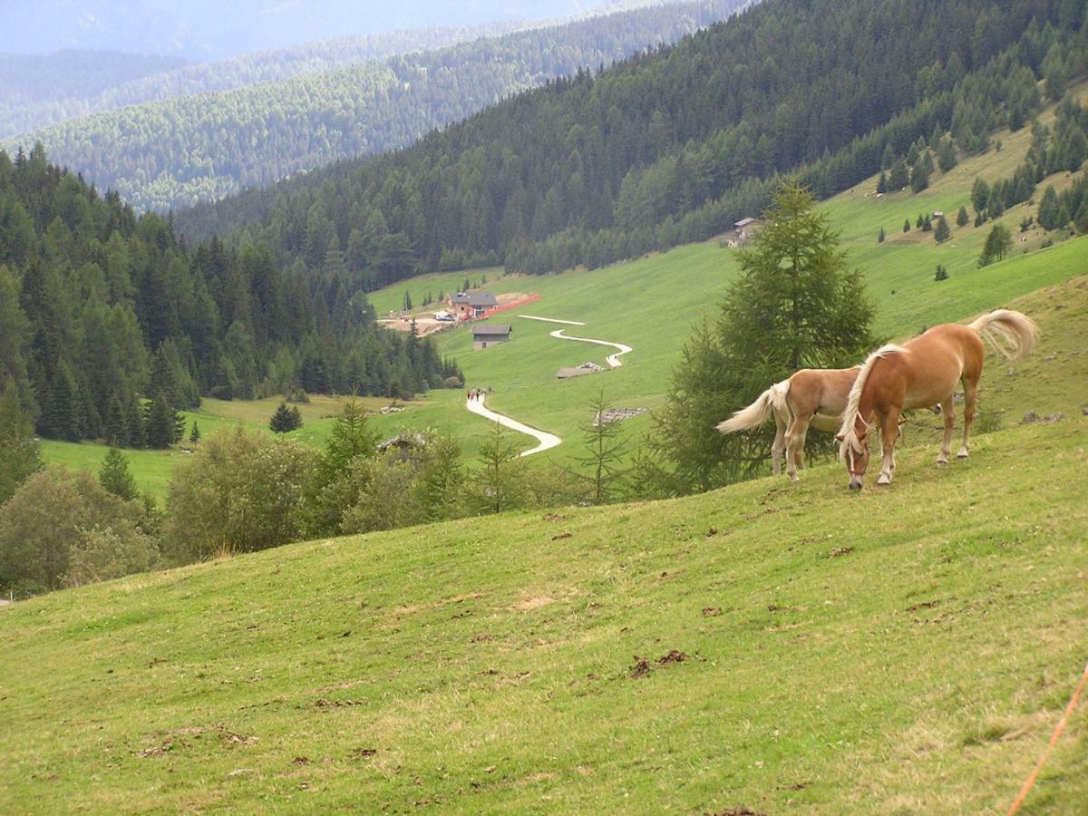 Appartaments Morans Maranza Bagian luar foto